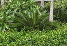 Harcourttropical-landscaping-4.jpg; ?>